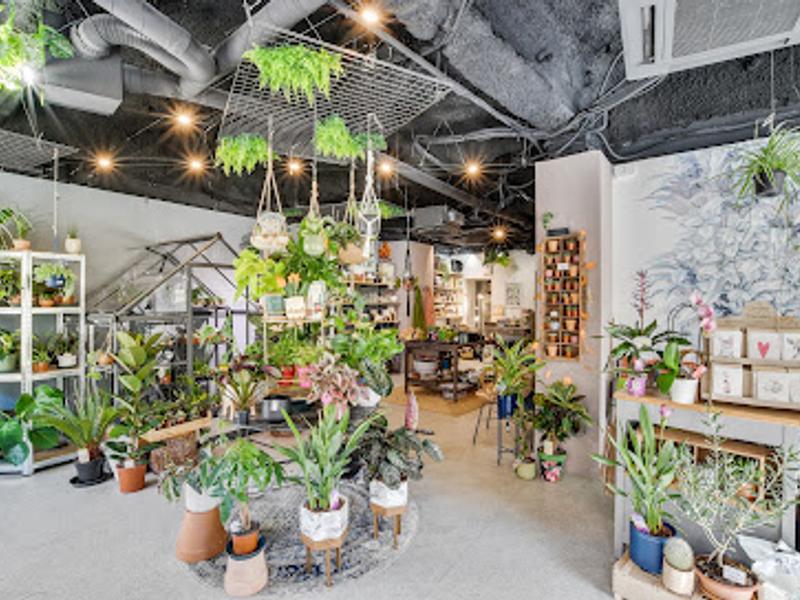 PILEA - jardinerie urbaine — Écusson